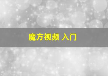 魔方视频 入门